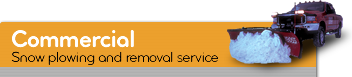 Search Commercial Services