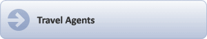 Car Rental Travel Agent