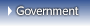 Government Car Rental