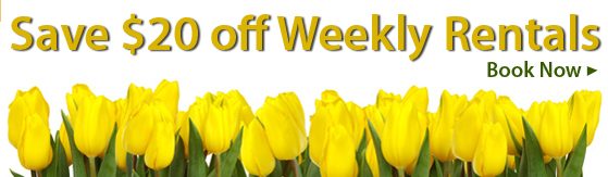 Save $20 off Weekly Rentals