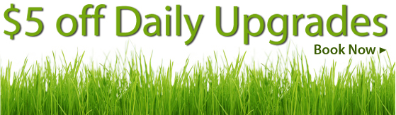 $5 off Daily Upgrades